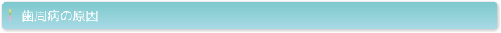 歯周病の原因